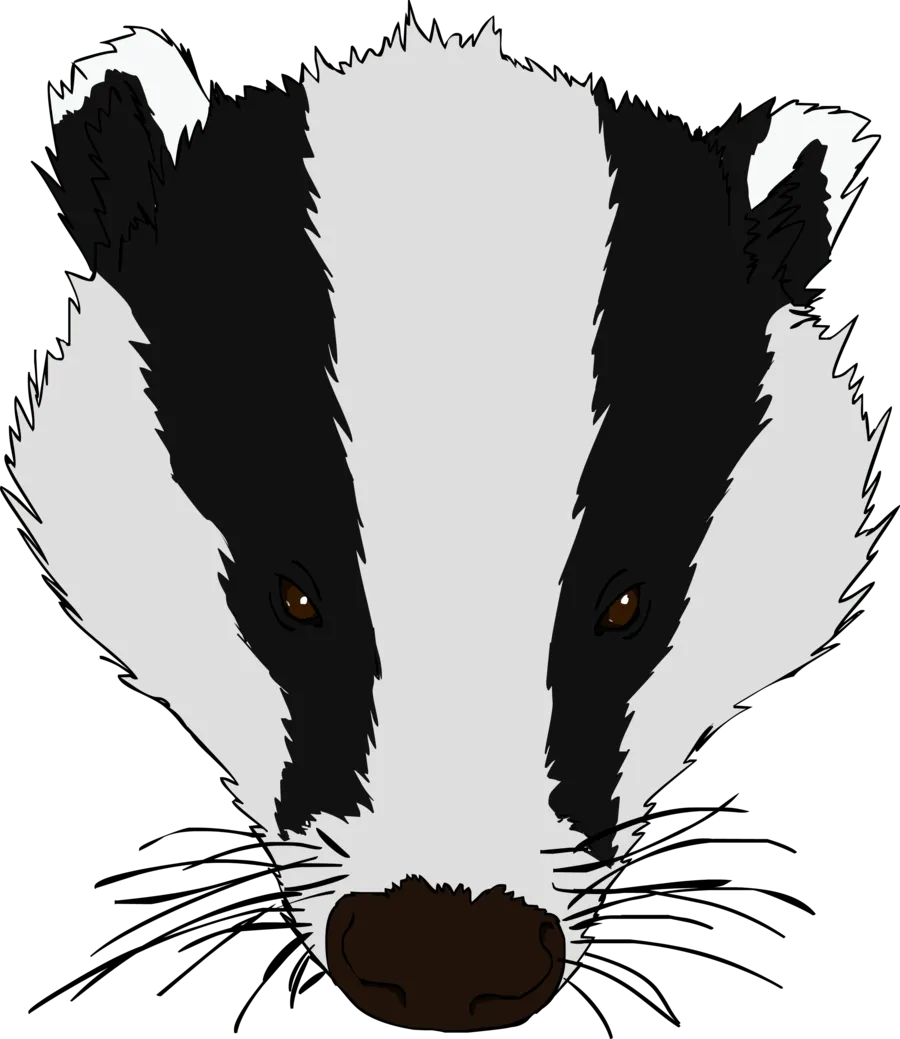 Badger cute, chibi-style animal, adorable expression PNG